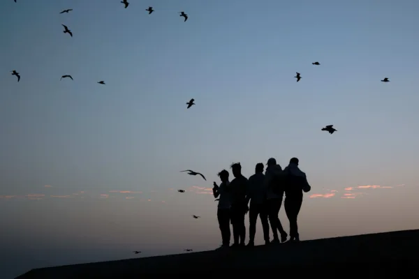 Silhouettes of people standing together at sunset with birds in the sky