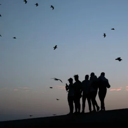 Visual Storytelling: How to Tell Powerful Stories Through Photography